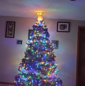 Meet your Posher, Wendy